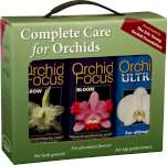 Orchid Focus Gift Pack