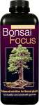 Bonsai Focus