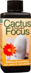 Cactus Focus