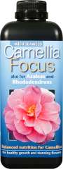 Camellia Focus - Balanced nutrition for all ericaceous species.
