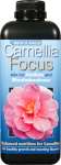 Camellia Focus