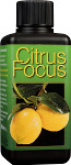 Citrus Focus