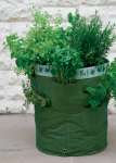 Kitchen Herb Patio Planters