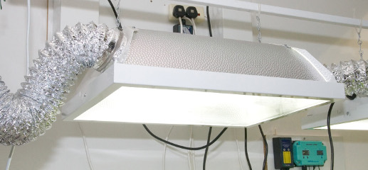 High Intensity Discharge Horticultural Lighting - Serious lumen output for amazing indoor plant growth.