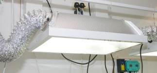 High Intensity Discharge Horticultural Lighting