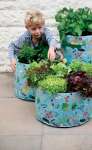 Childrens' Vegetable Patio Planters