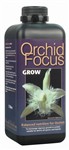 Orchid Focus