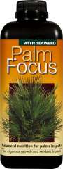 Palm Focus - Balanced nutrition for palms in containers.