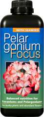 Pelargonium Focus - Balanced nutrition for pelargoniums and geraniums.