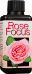 Rose Focus