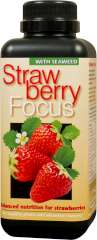 Strawberry Focus - Balanced nutrition for strawberries in pots and in the ground.